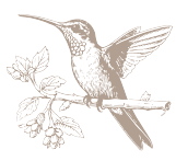 Café 100% sostenible