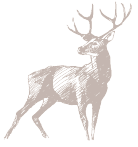 Nuestro café no solo se bebe se vive